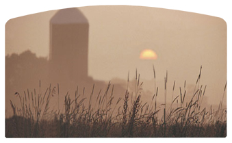 DACRO-334-BZ Harvest Sunrise Bronze